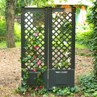 Spaliere & Rankgitter