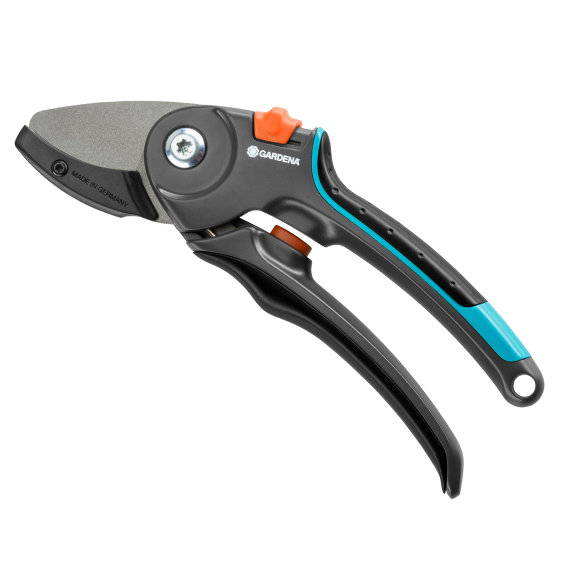 Baum- und Strauchpflege