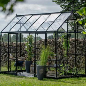 Halls Icon (erhältlich ab Frühjahr 2026)