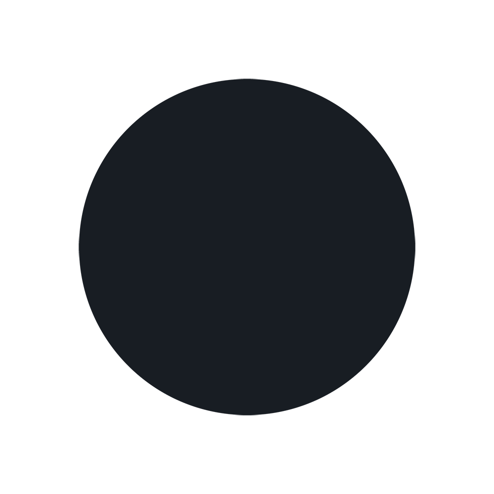 Schwarz / Silber Varianten Bild