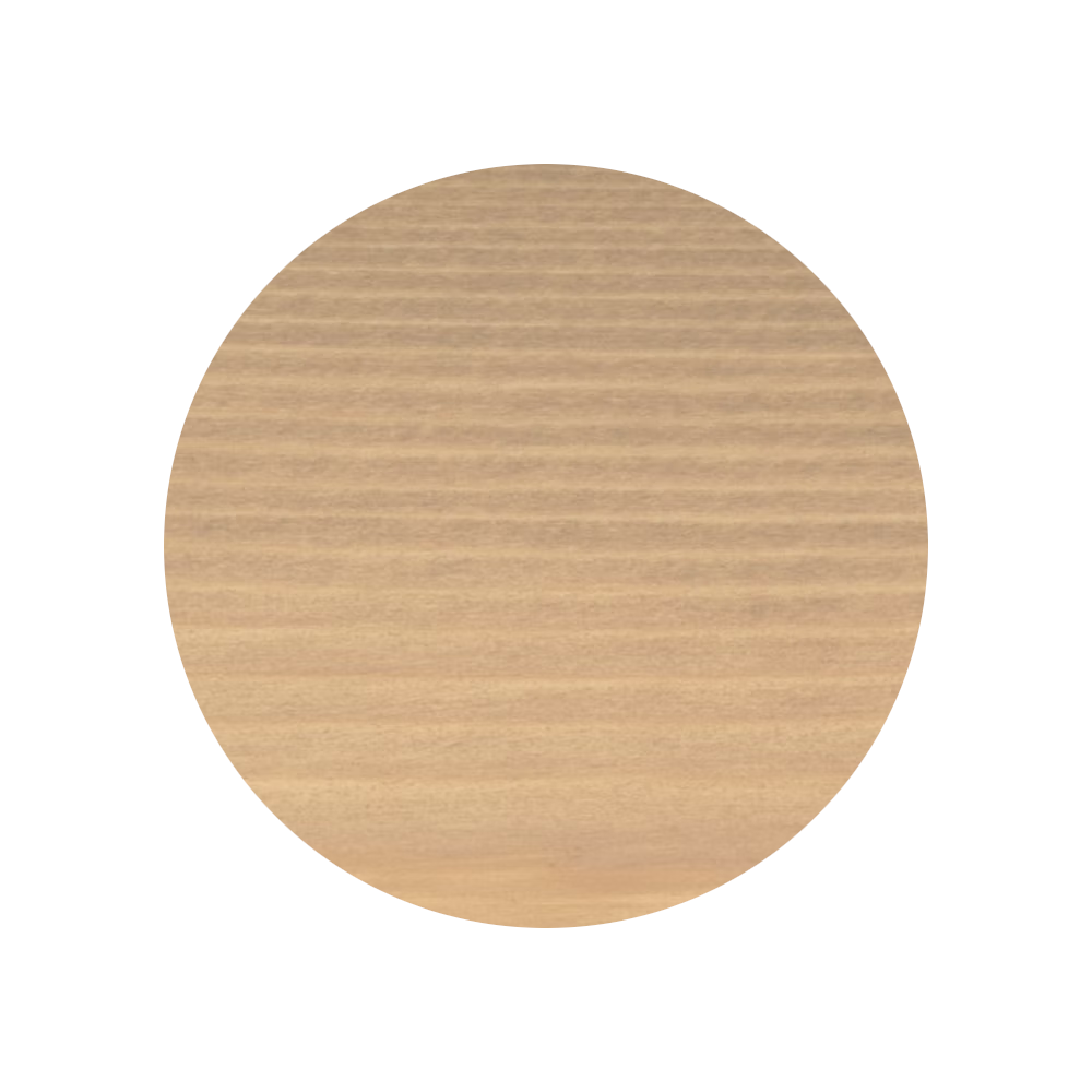 3102 Buche leicht gedämpft Varianten Bild