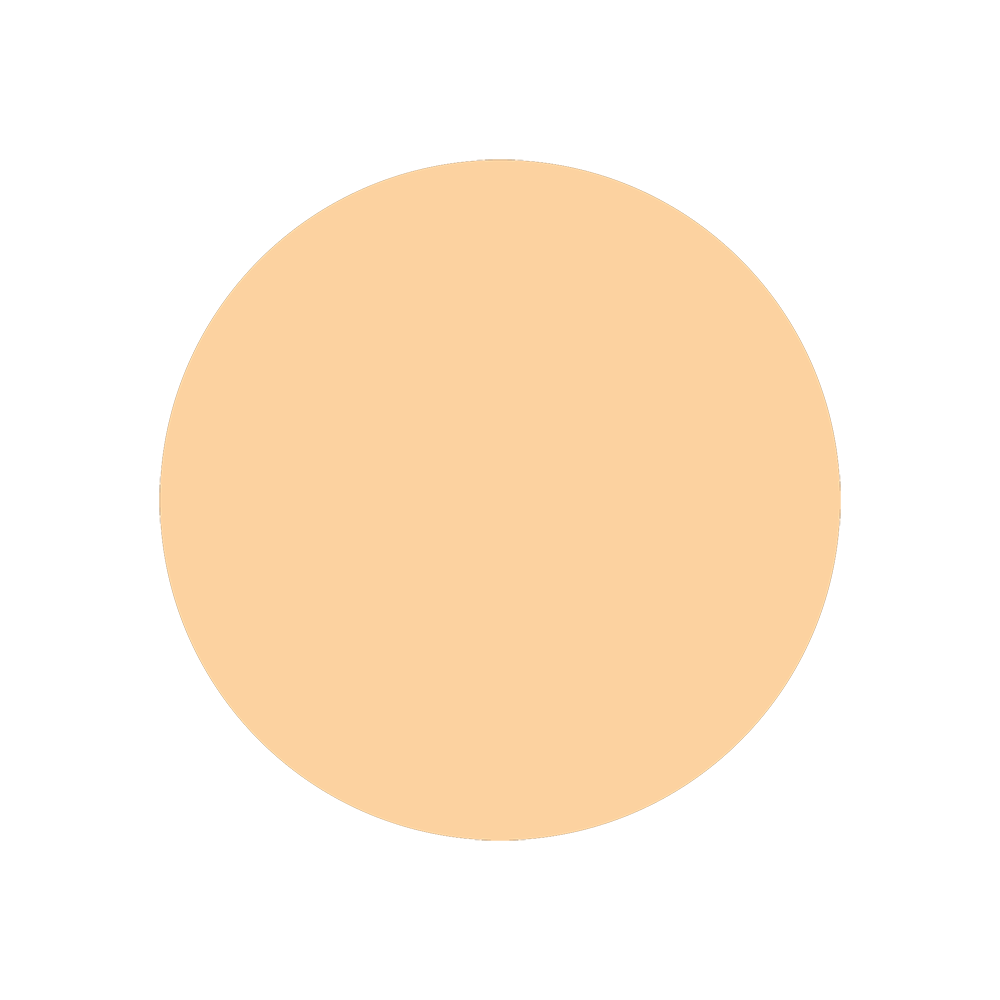 7301 Buche Varianten Bild