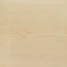 Ahorn Varianten Bild