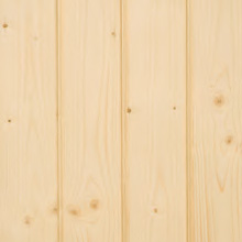 Fichte Varianten Bild