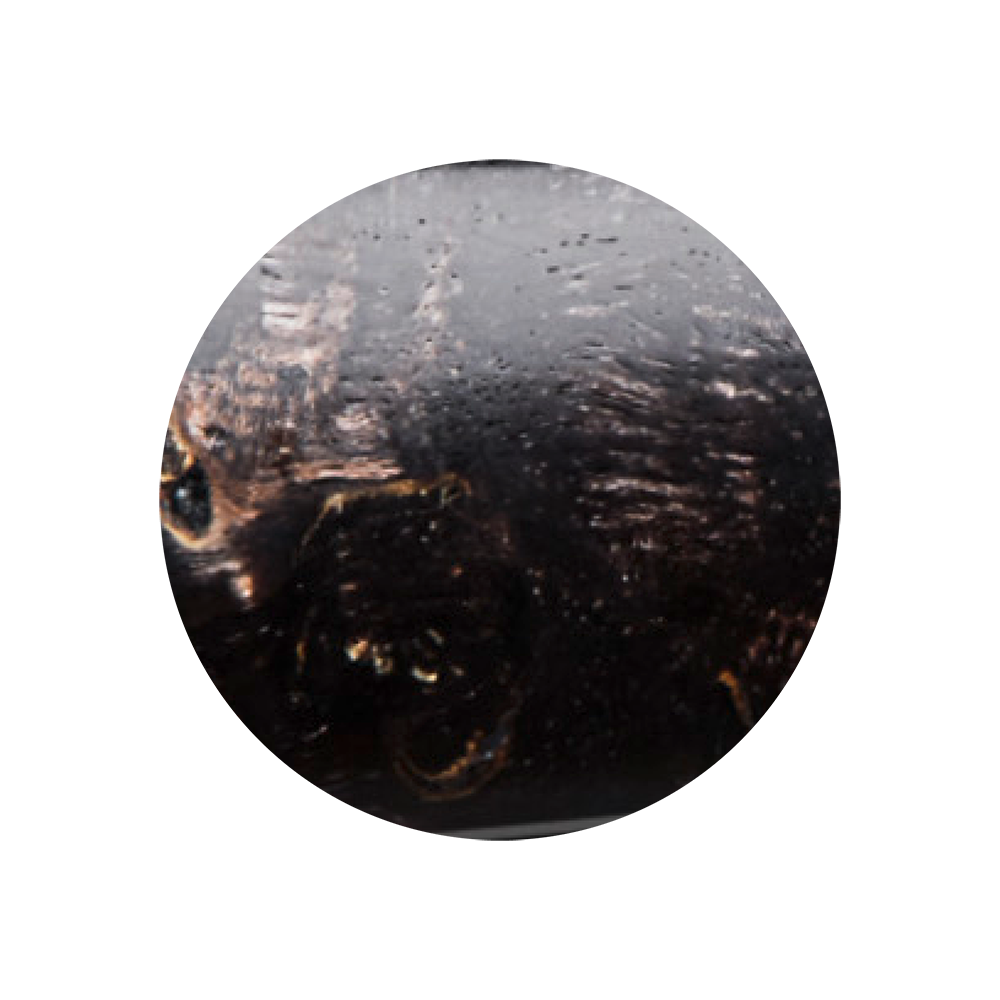 Maserbirke Varianten Bild