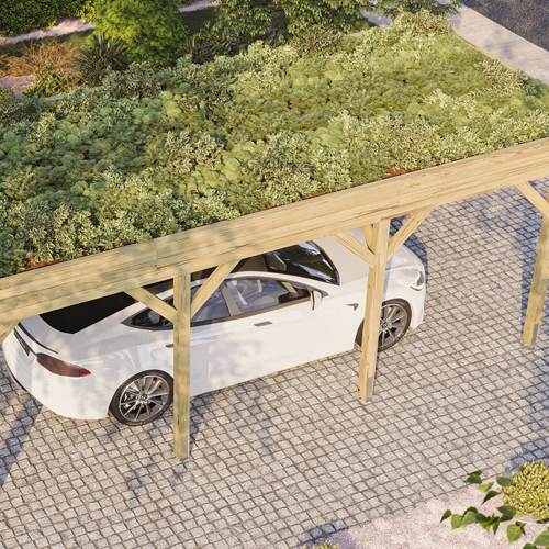 Carport mit Dachbegrünung