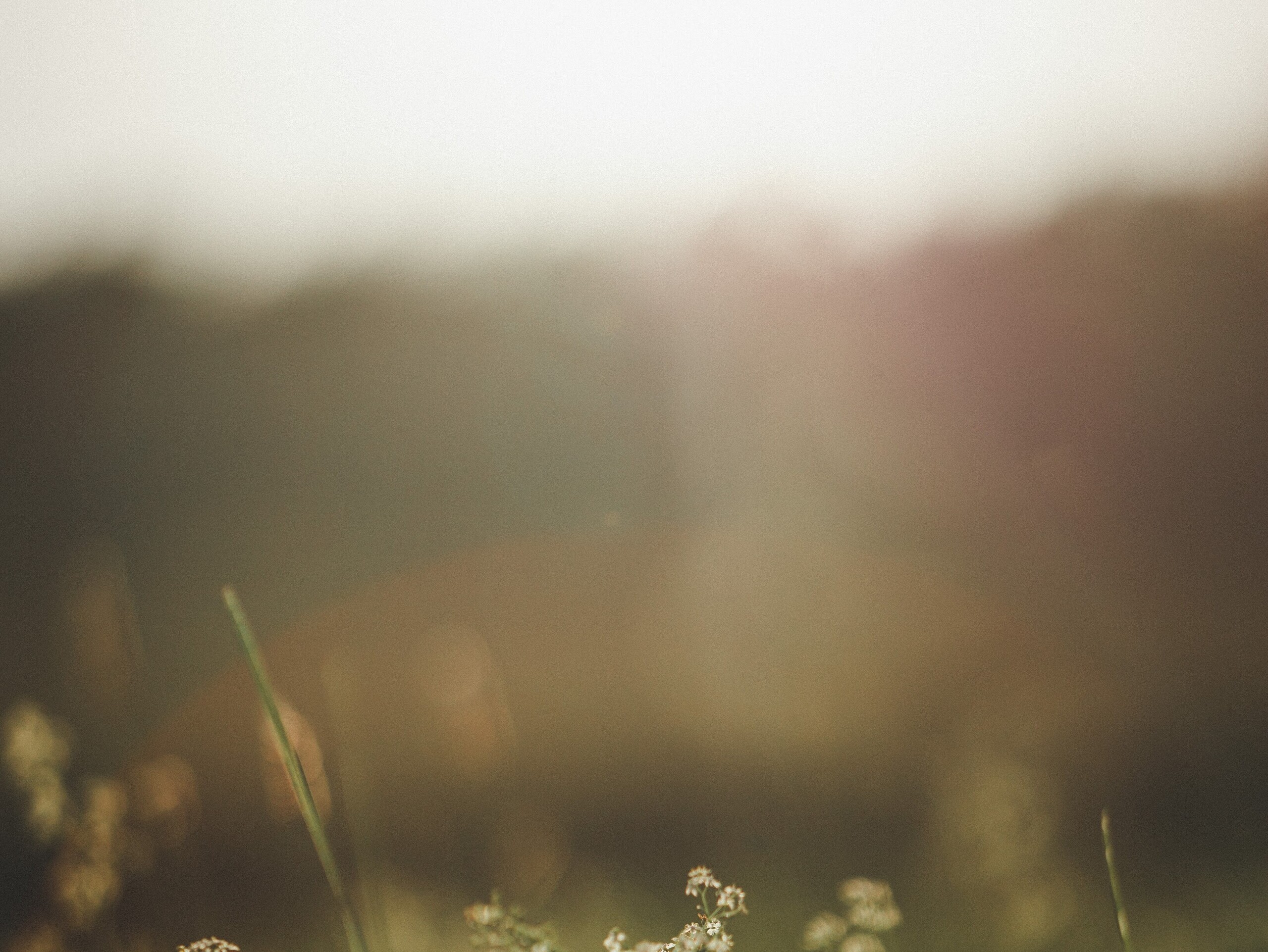 Produktfreisteller links