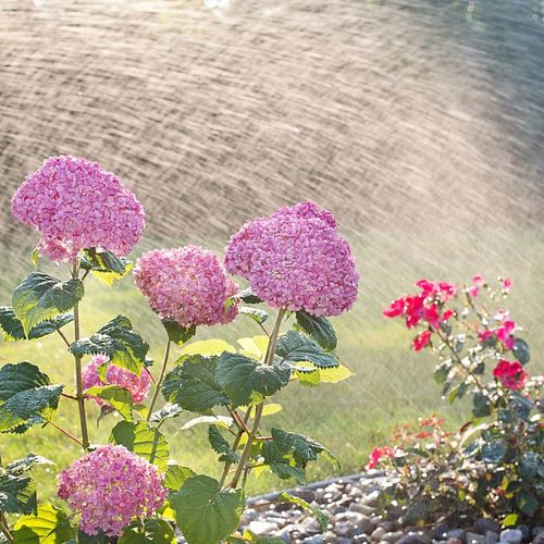 Wasser marsch! Gardena Bewässerung für den Garten