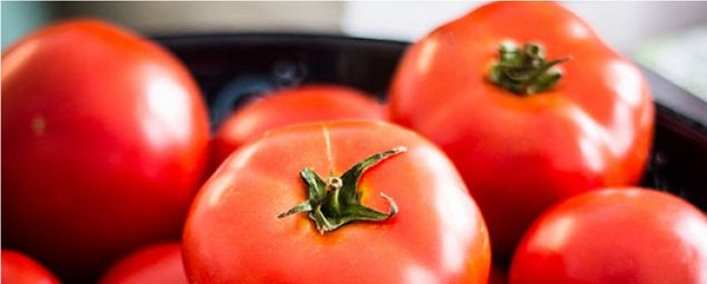 Lecker: Tomaten auf dem Balkon oder im Garten