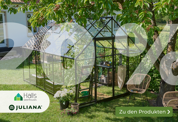 Gewächshaus Rabatte im August Sliderbild