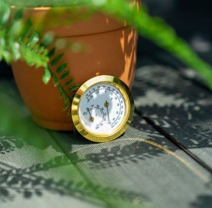 Vitavia Hygrometer