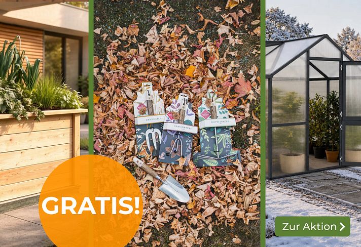 GRATIS Werkzeugset Sliderbild