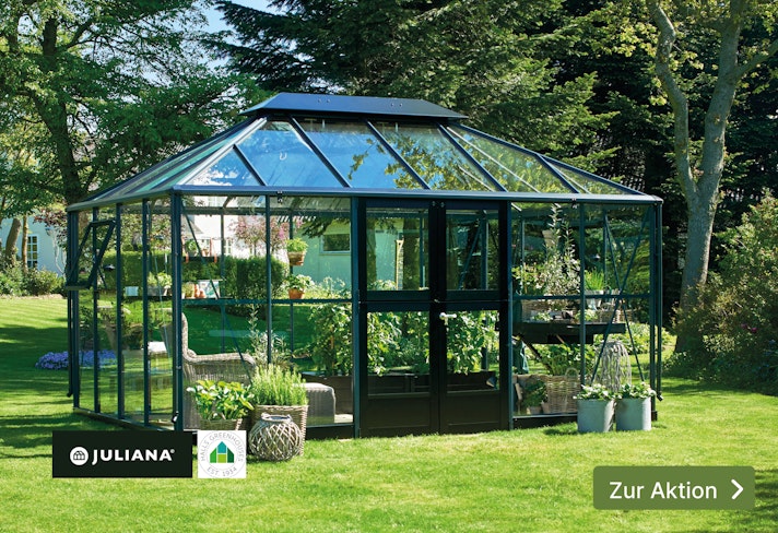 Gewächshaus-Aktion Sliderbild