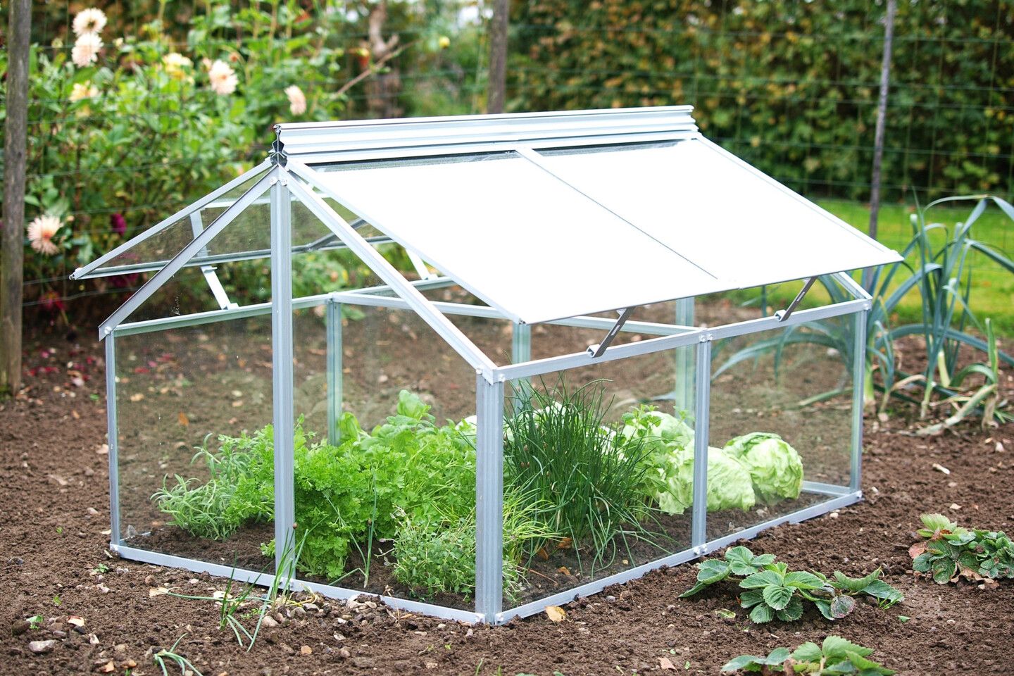 Ein frühbeet ist ein kleines Treibhaus zur Jungpflanzenanzucht