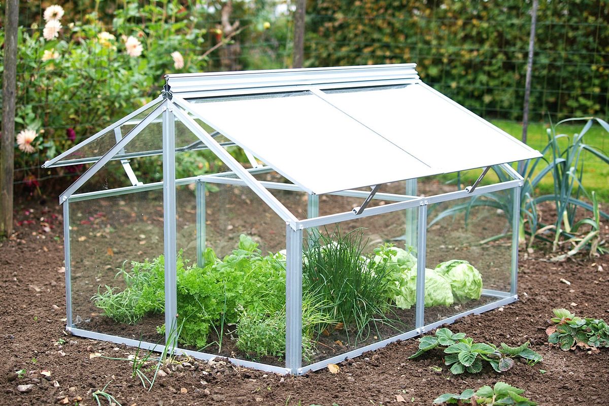 Ein frühbeet ist ein kleines Treibhaus zur Jungpflanzenanzucht
