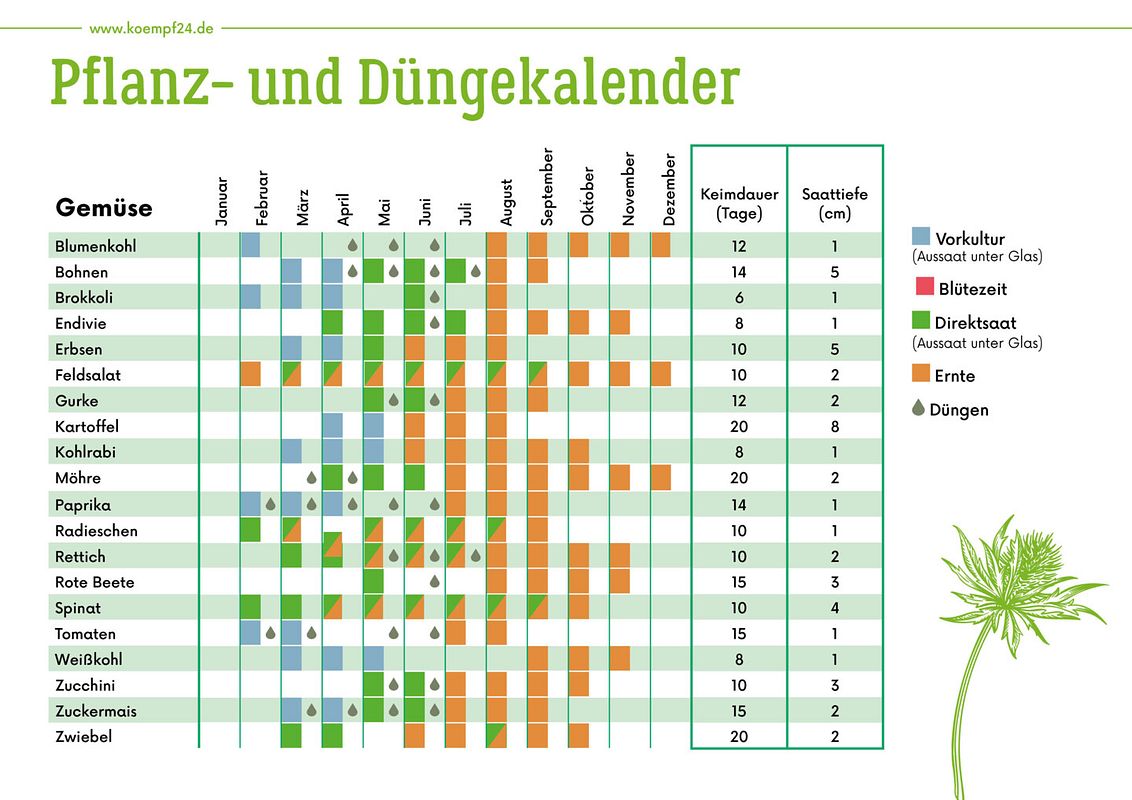 Pflanz- und Düngekalender für Gemüse
