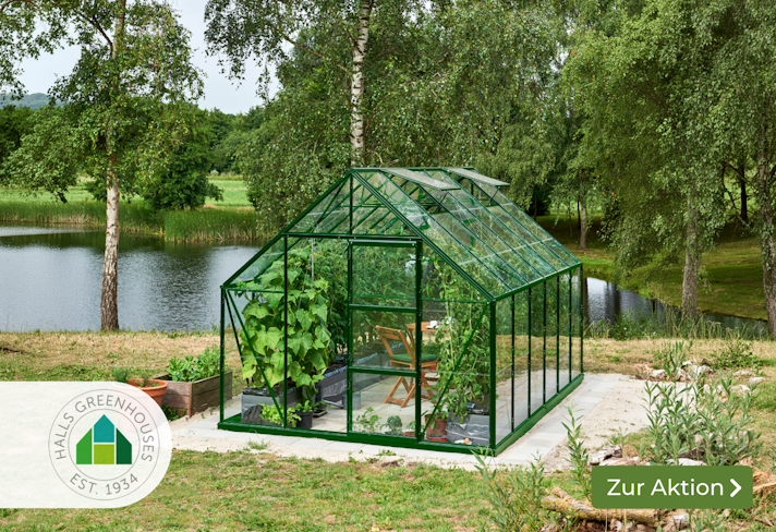 Halls-SALE im April: Jetzt 15 % sparen! Sliderbild