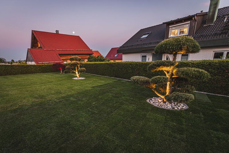 Strahler setzen (farbige) Akzente auf die Zierbäume im Garten