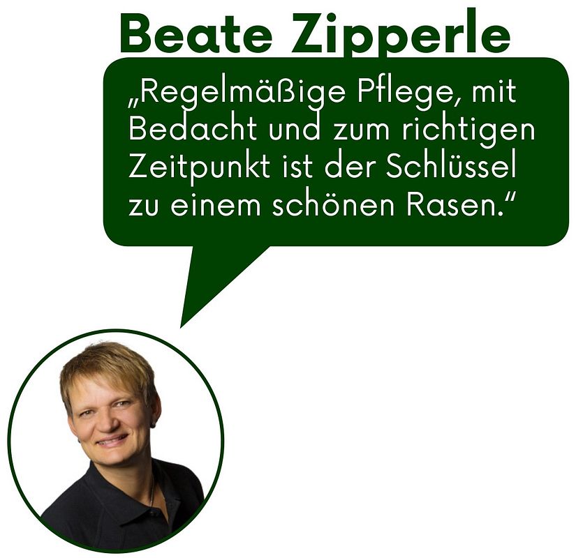 Expertentipp
