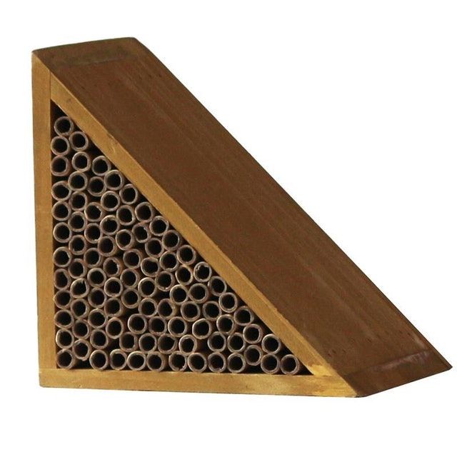 NOOR Bee Bar 