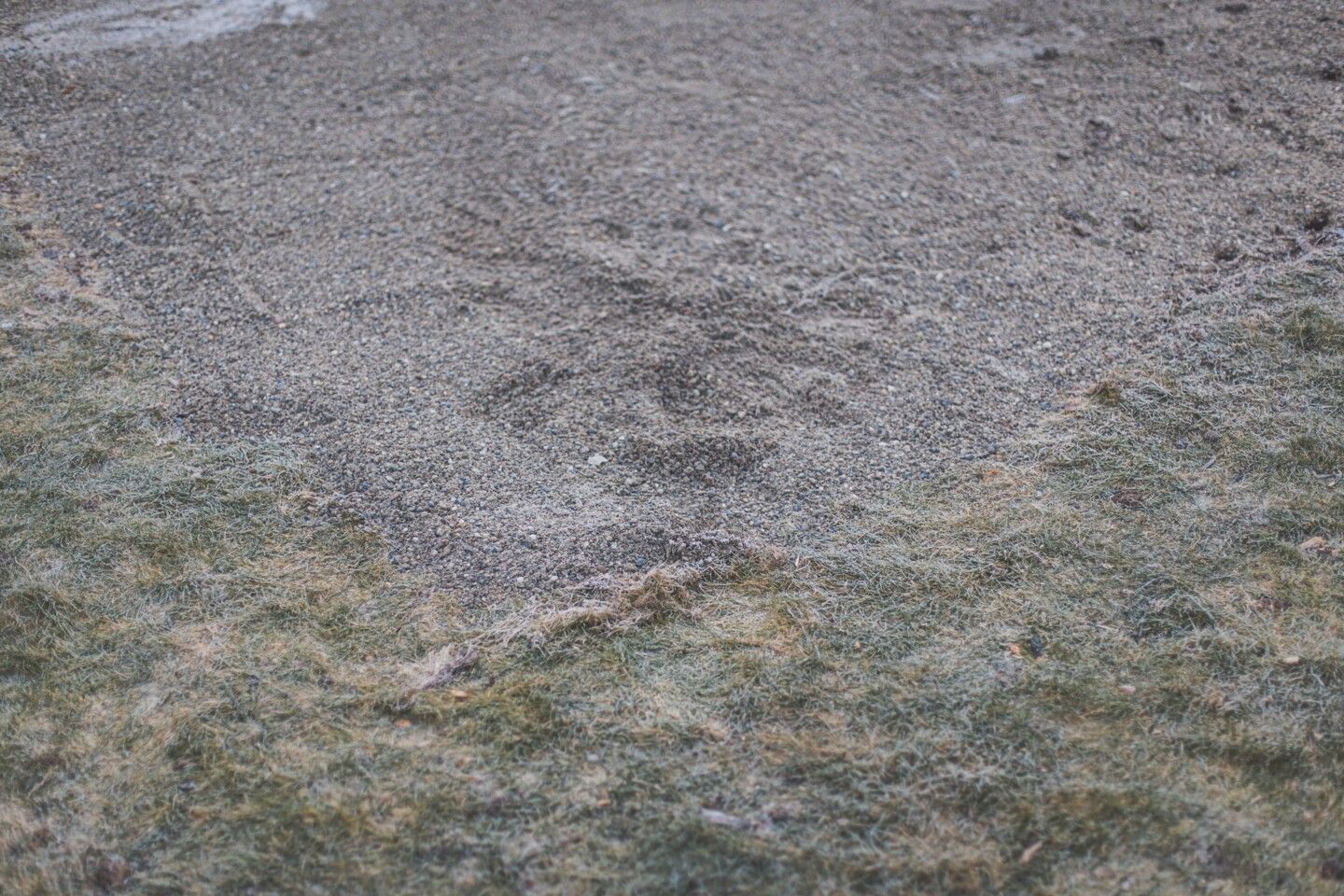 Dort wo das Fundament erbaut werden soll, muss vorher der Rasen ca. 10cm tief abgetragen werden