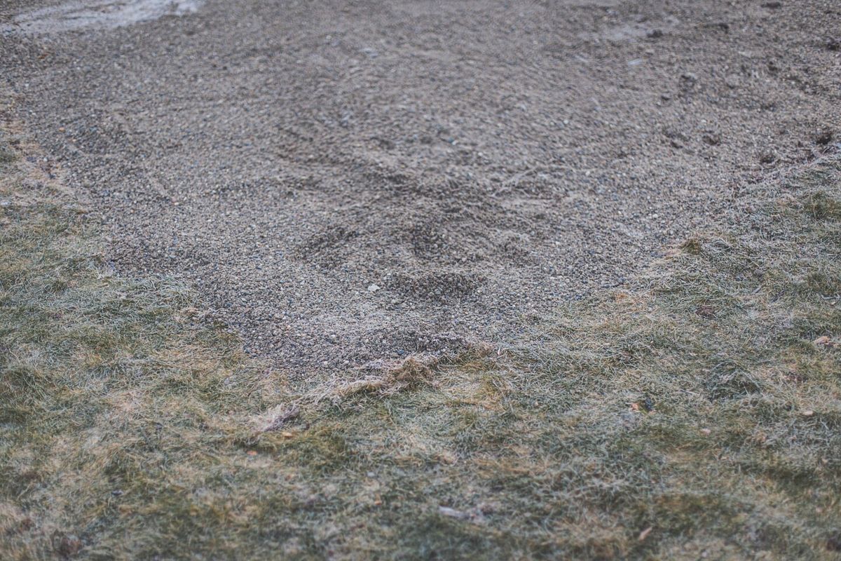 Dort wo das Fundament erbaut werden soll, muss vorher der Rasen ca. 10cm tief abgetragen werden