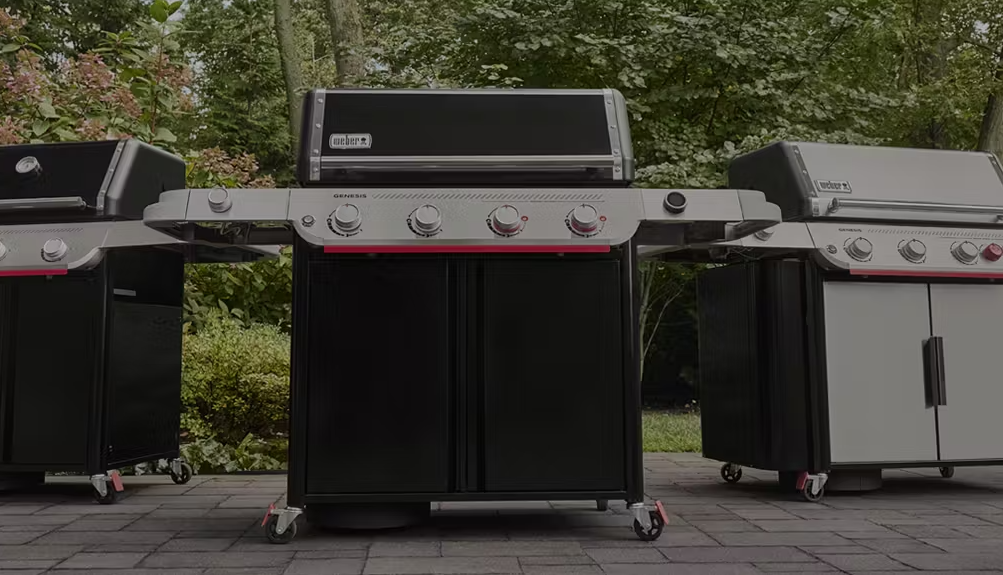 Weber Genesis-Serie