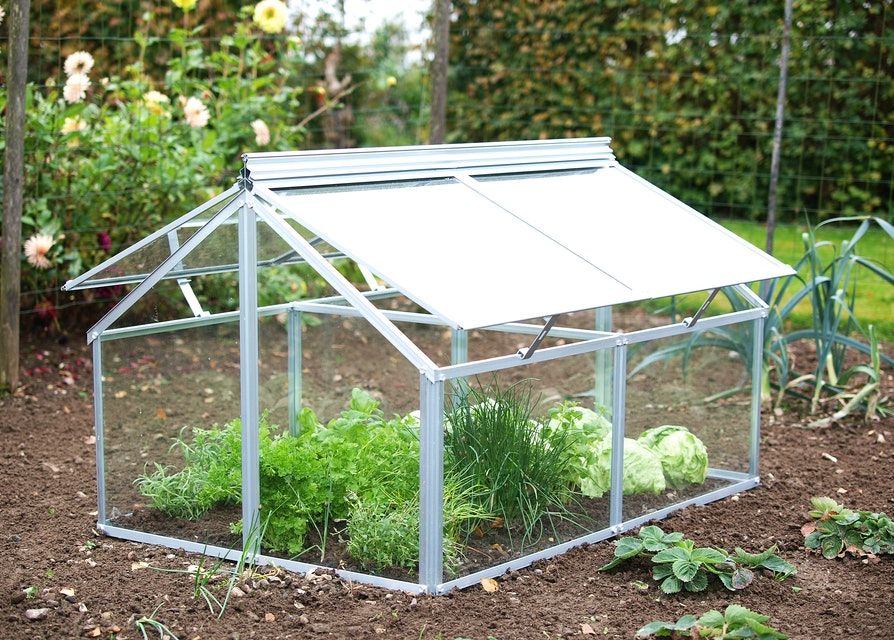 Vitavia Gaia Frühbeet