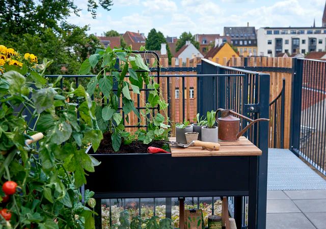 Juliana Gewächshaus Urban Vertical 
