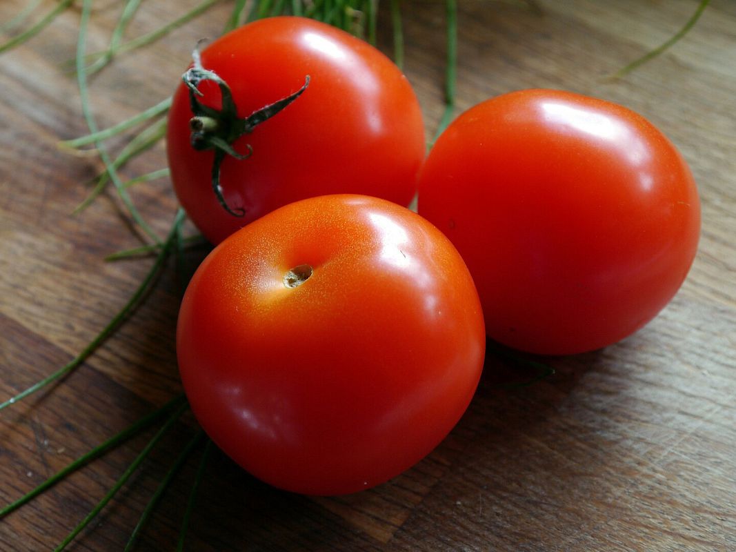 Tomatenglück