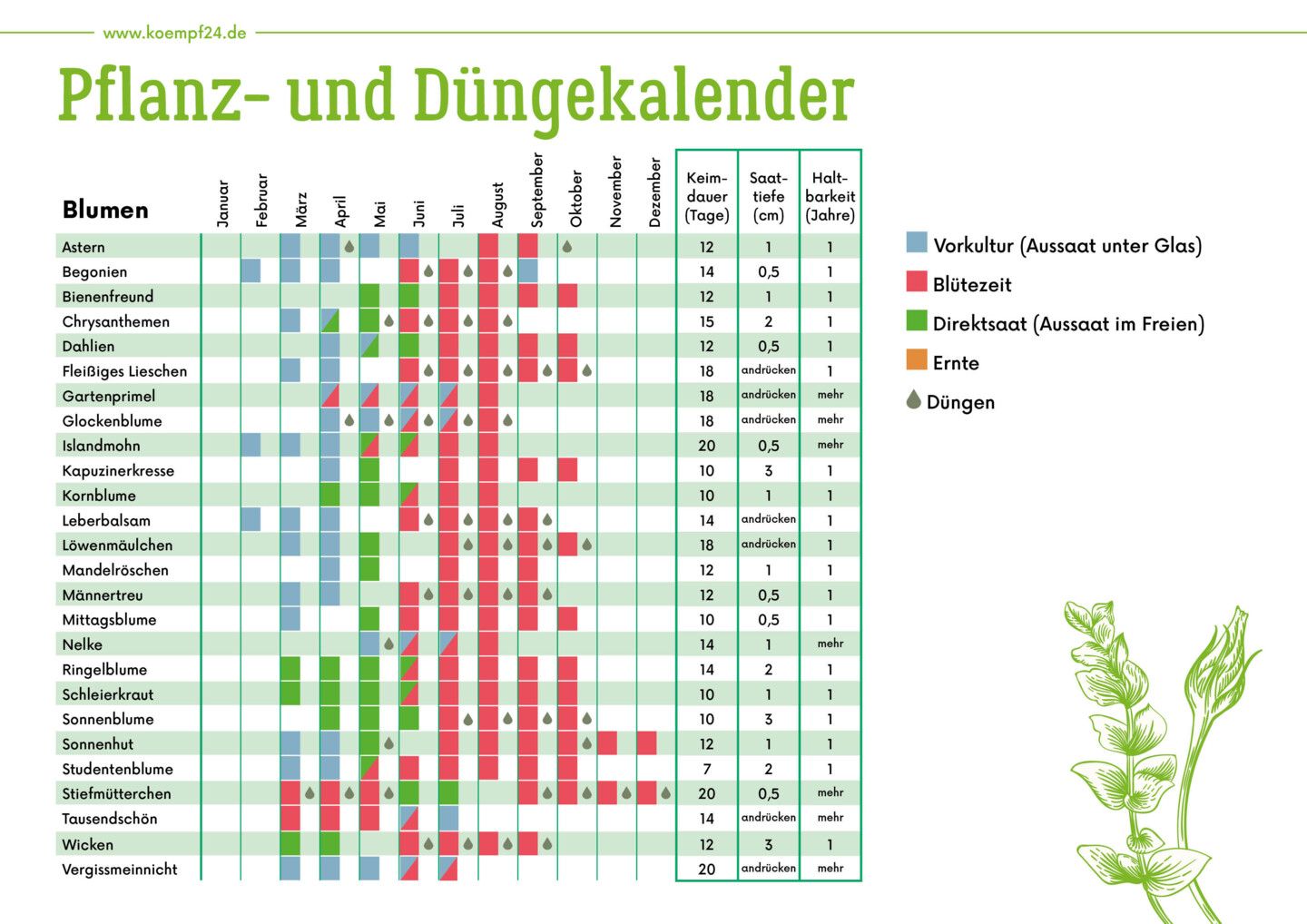 Pflanz- und Düngekalender für Blumen und Pflanzen