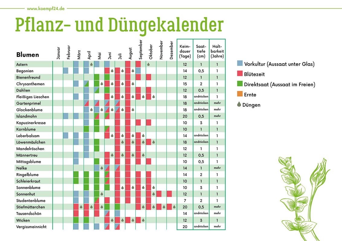 Pflanz- und Düngekalender für Blumen und Pflanzen