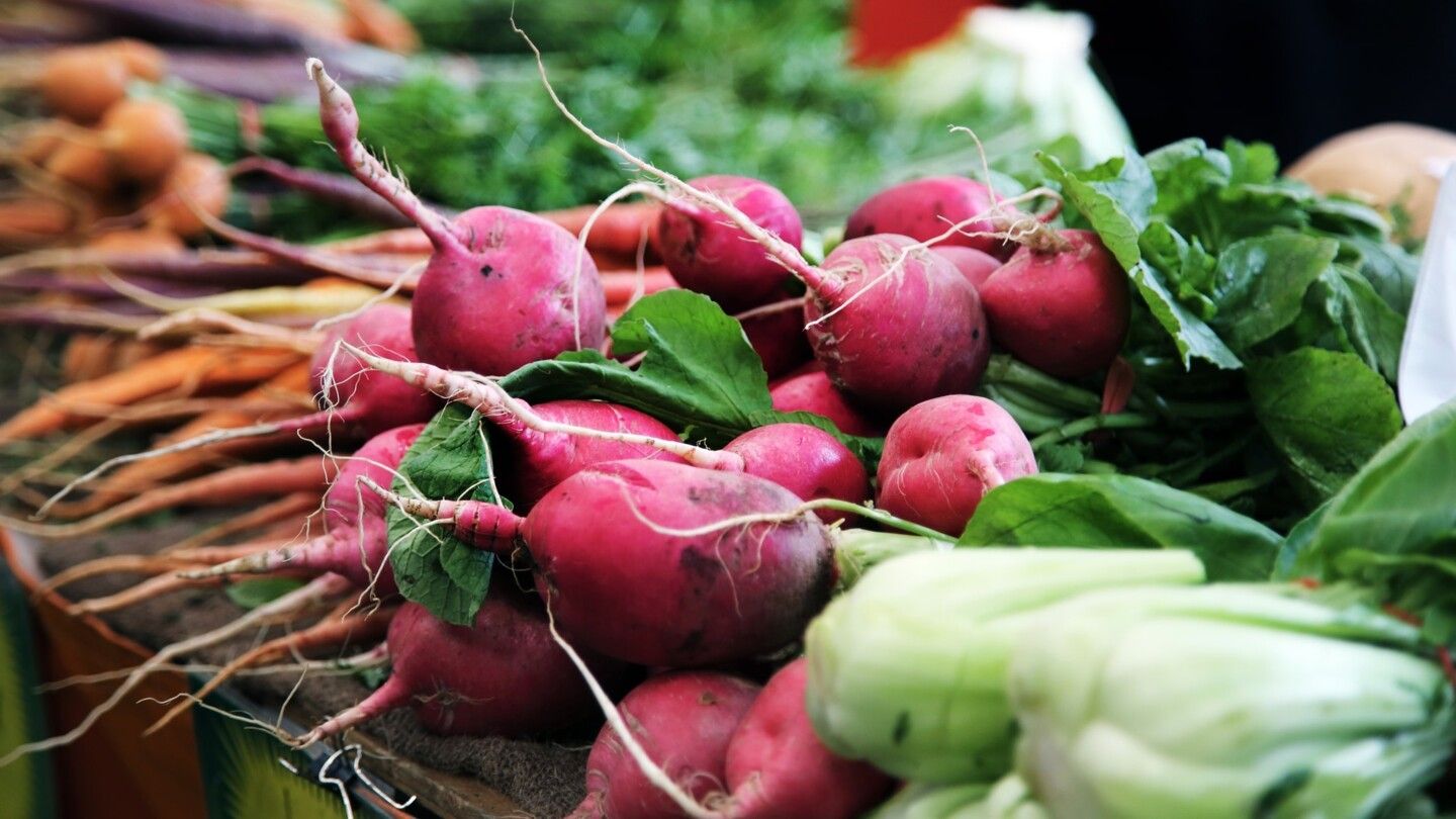 Ertragreiche Ernte aus dem Hochbeet