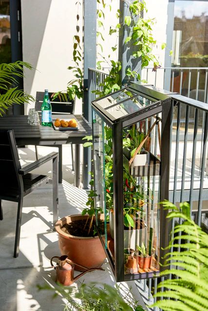 Juliana Gewächshaus Urban Balcony - 0,16 m² 
