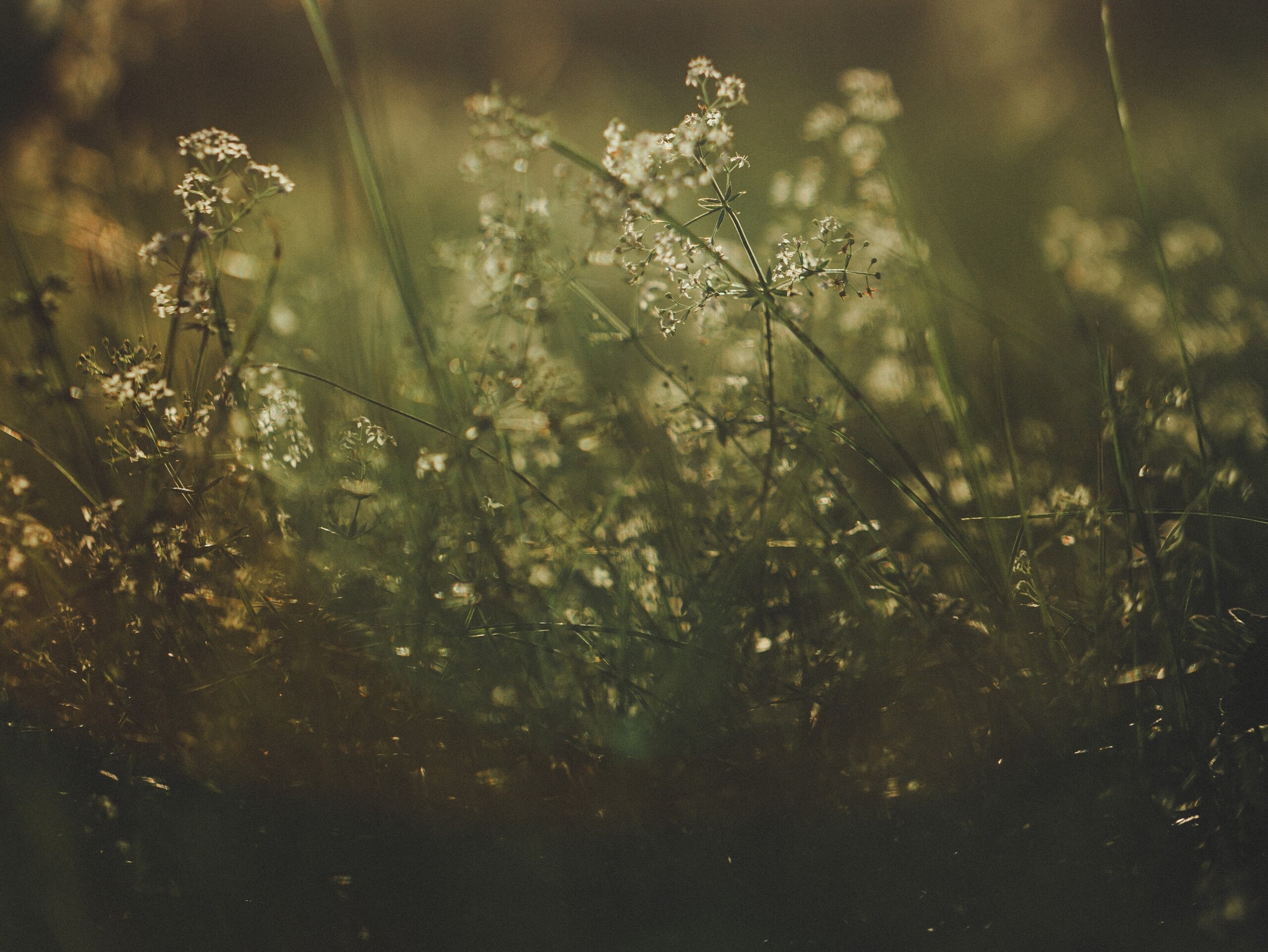 Produktfreisteller rechts