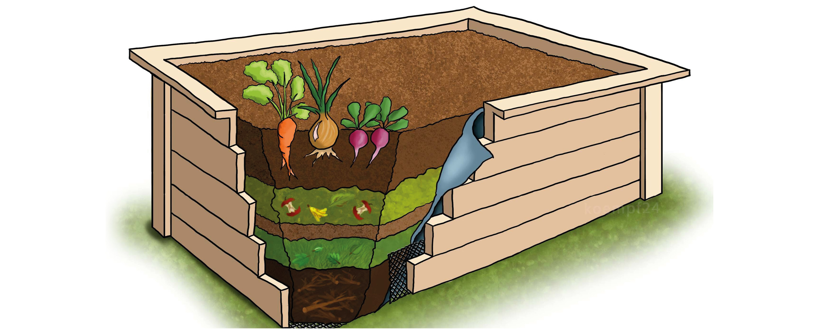 Gemüse selbst anbauen: im eigenen Hochbeet