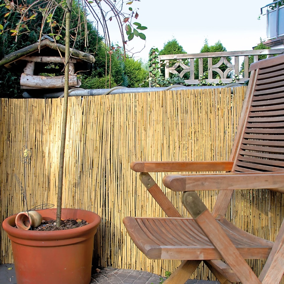 Natürlicher Sichtschutz