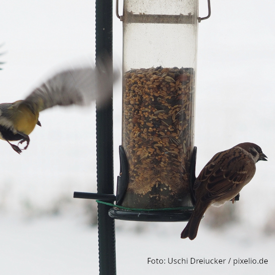 Bedarf für Gartentiere