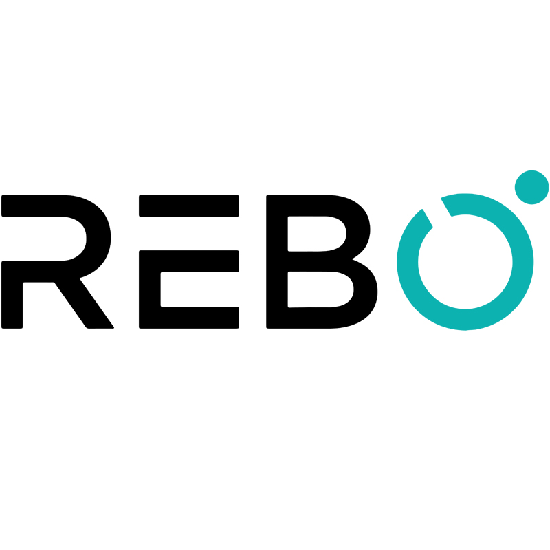 Rebo Kinderspielgeräte