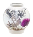 Vorschaubild BiOrb Aquarium CLASSIC 15 LED