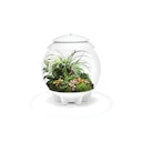 Vorschaubild BiOrb Terrarium AIR 30