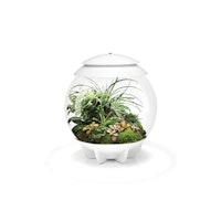 BiOrb Terrarium AIR 30