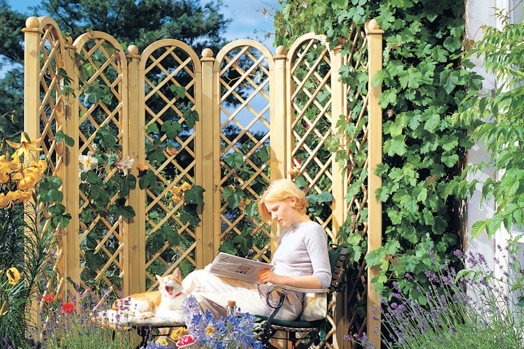 TraumGarten Clematis Rankgitter 89x178 cm