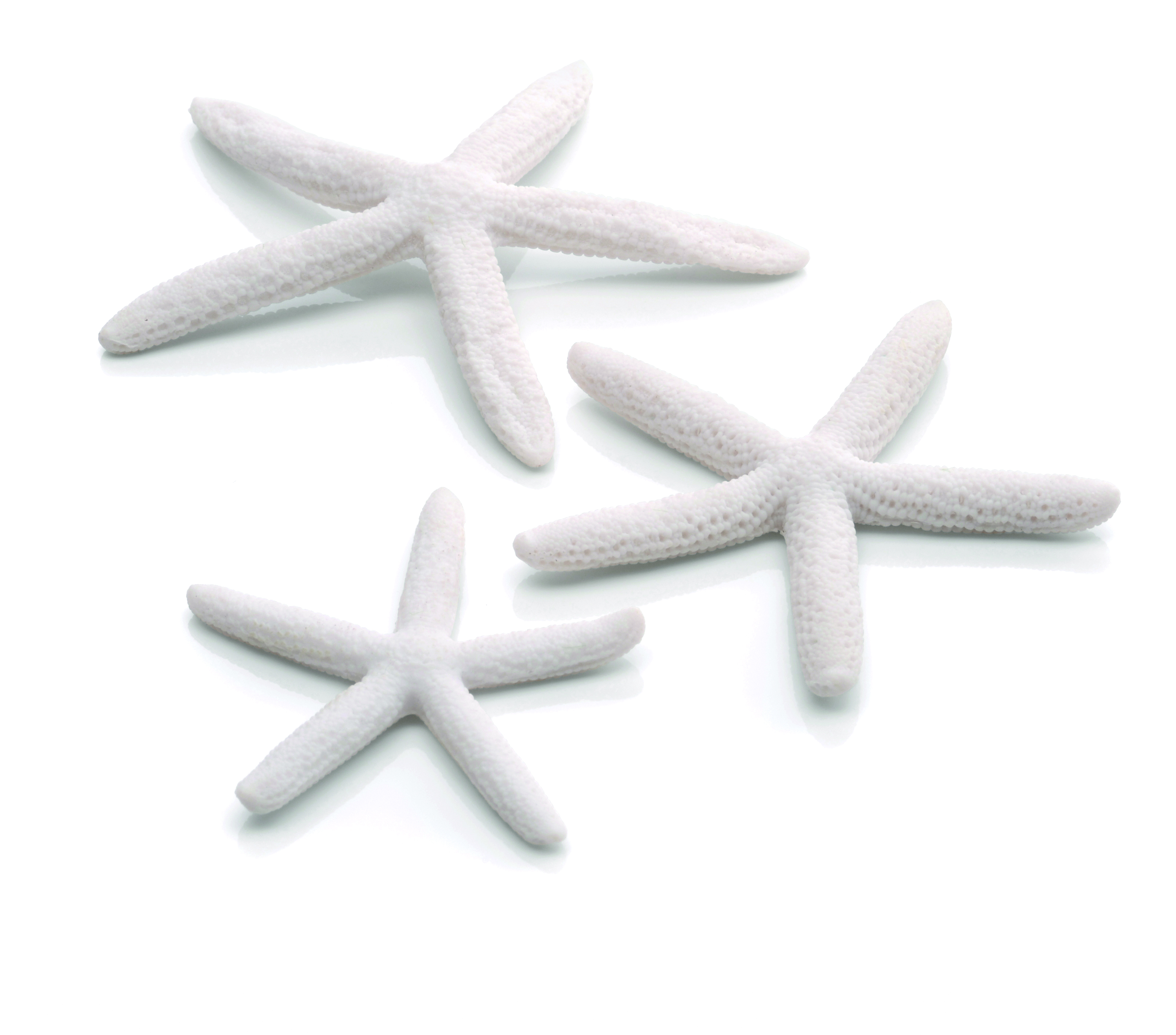 biOrb Seestern Set 3 weiß (46134)