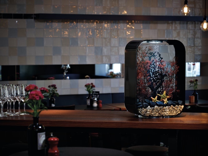 BiOrb Aquarium LIFE 45 MCR