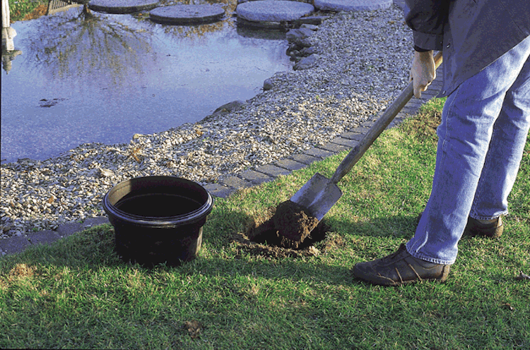 Oase FiltoClear 6000