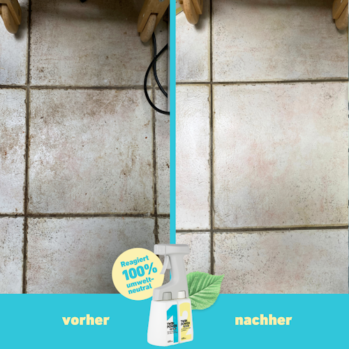 Twin Power Intensiv-Set 2 x 0,4L + Sprüher + Handschuhe + Bürste