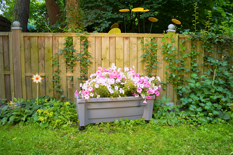 KHW Calypso Pflanzkasten auf Rollen mit Bewässerungssystem