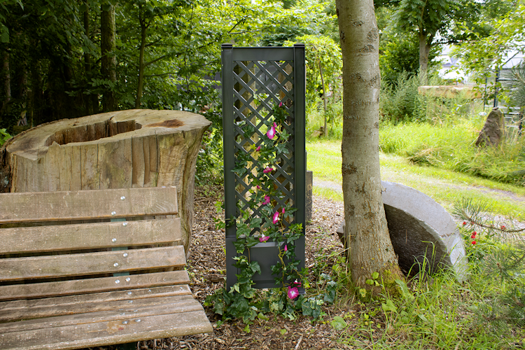 KHW Spalier 43 cm mit Erdspieß