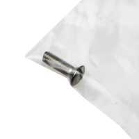 Oase Linsenschraube V2A DIN 964 5 x 16 (6018)